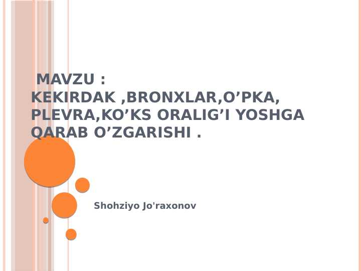 Kekirdak, bronxlar, o'pka va plevra anatomiyasi va yoshga qarab o'zgarishi