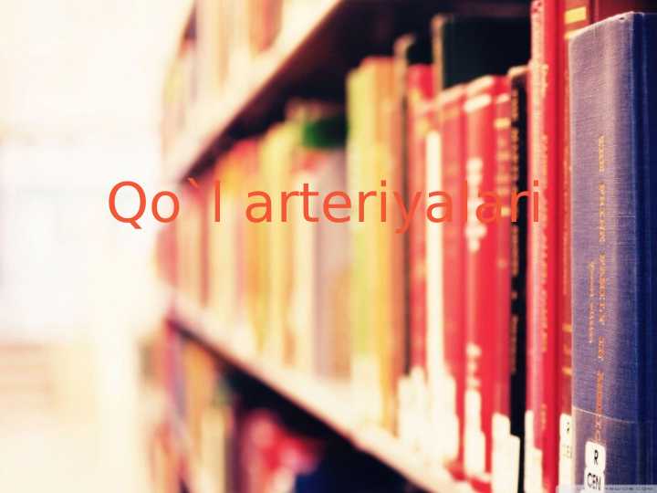 Qo`l arteriyalari anatomiyasi