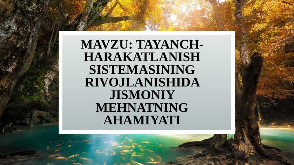Tayanch-harakatlanish sistemasining rivojlanishida jismoniy mehnatning ahamiyati