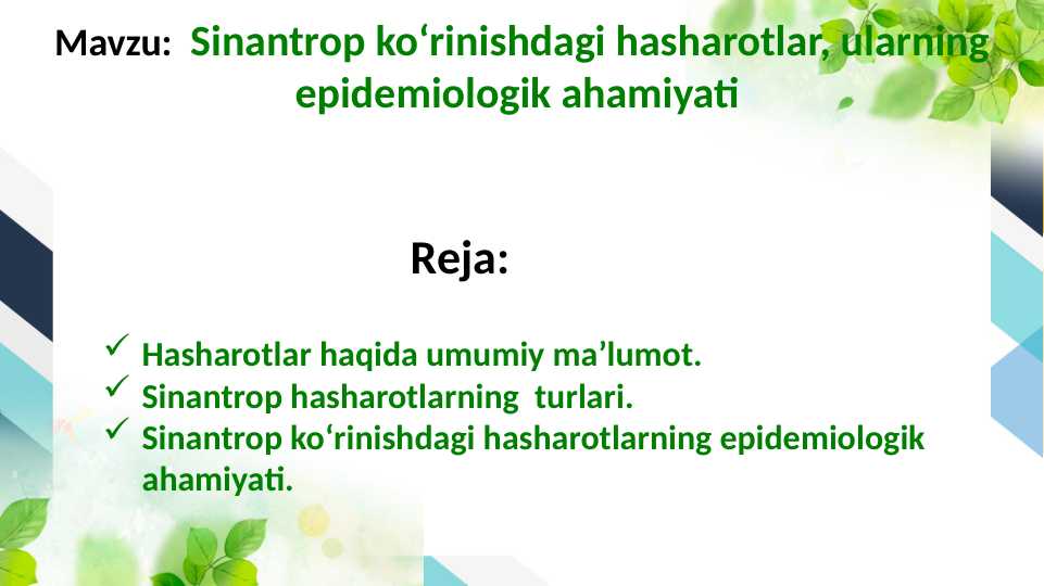 Sinantrop koʻrinishdagi hasharotlar, ularning epidemiologik ahamiyati
