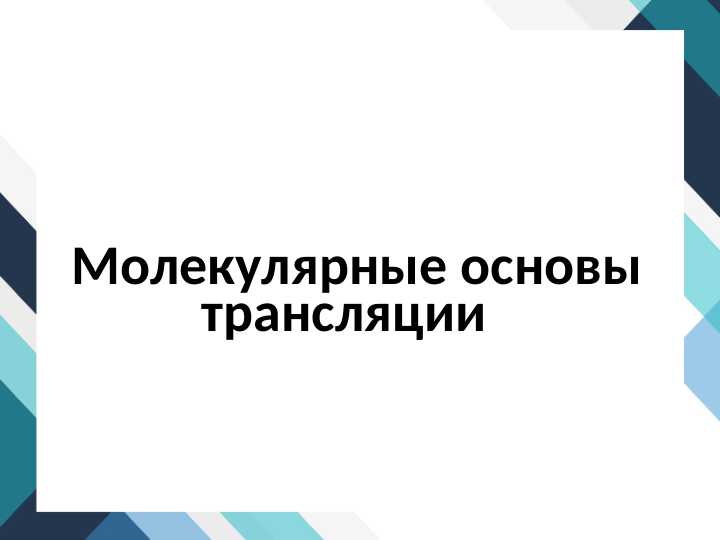 Молекулярные основы трансляции