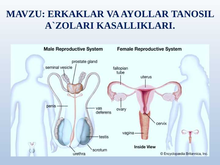 Misrdagi sohilda yalangoch xotini
