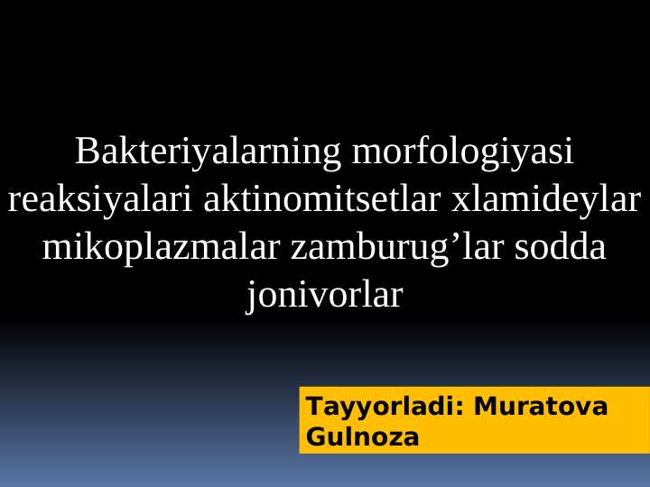 Bakteriyalarning morfologiyasi reaksiyalari aktinomitsetlar xlamideylar mikoplazmalar zamburug’lar sodda jonivorlar