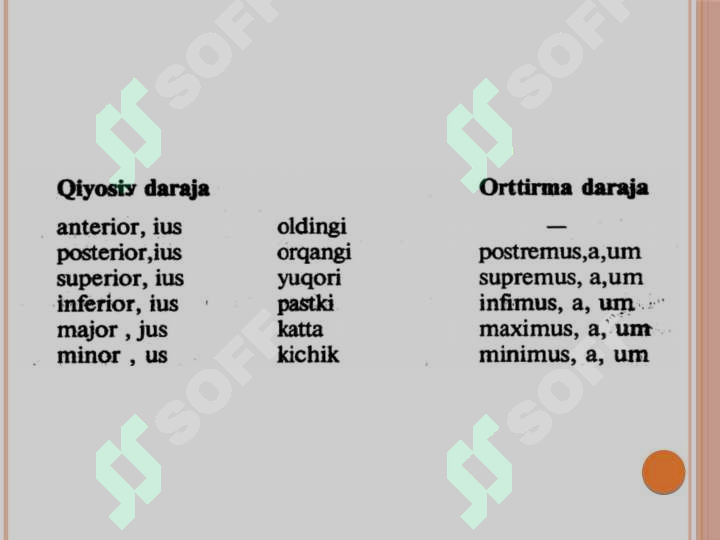 Sochli oqituvchi bilan porno