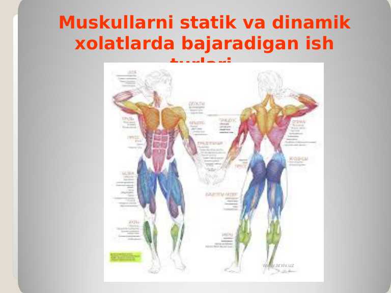 Robinson va Amazonlar porno