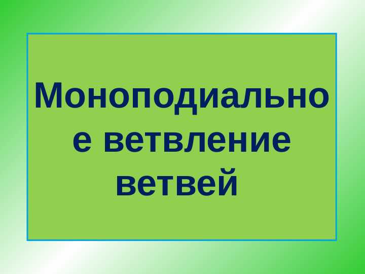 Mоноподиальное ветвление ветвей