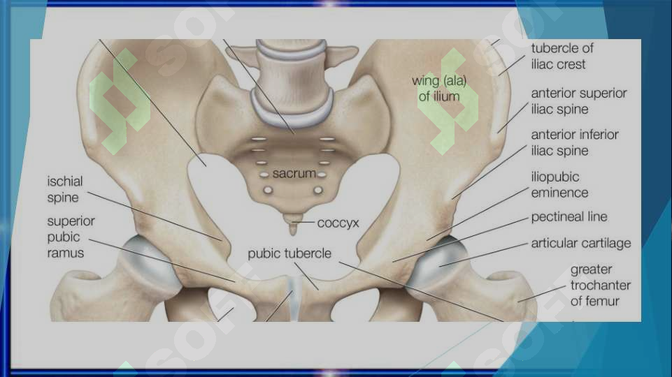 Qora erkak rus modelini sikadi