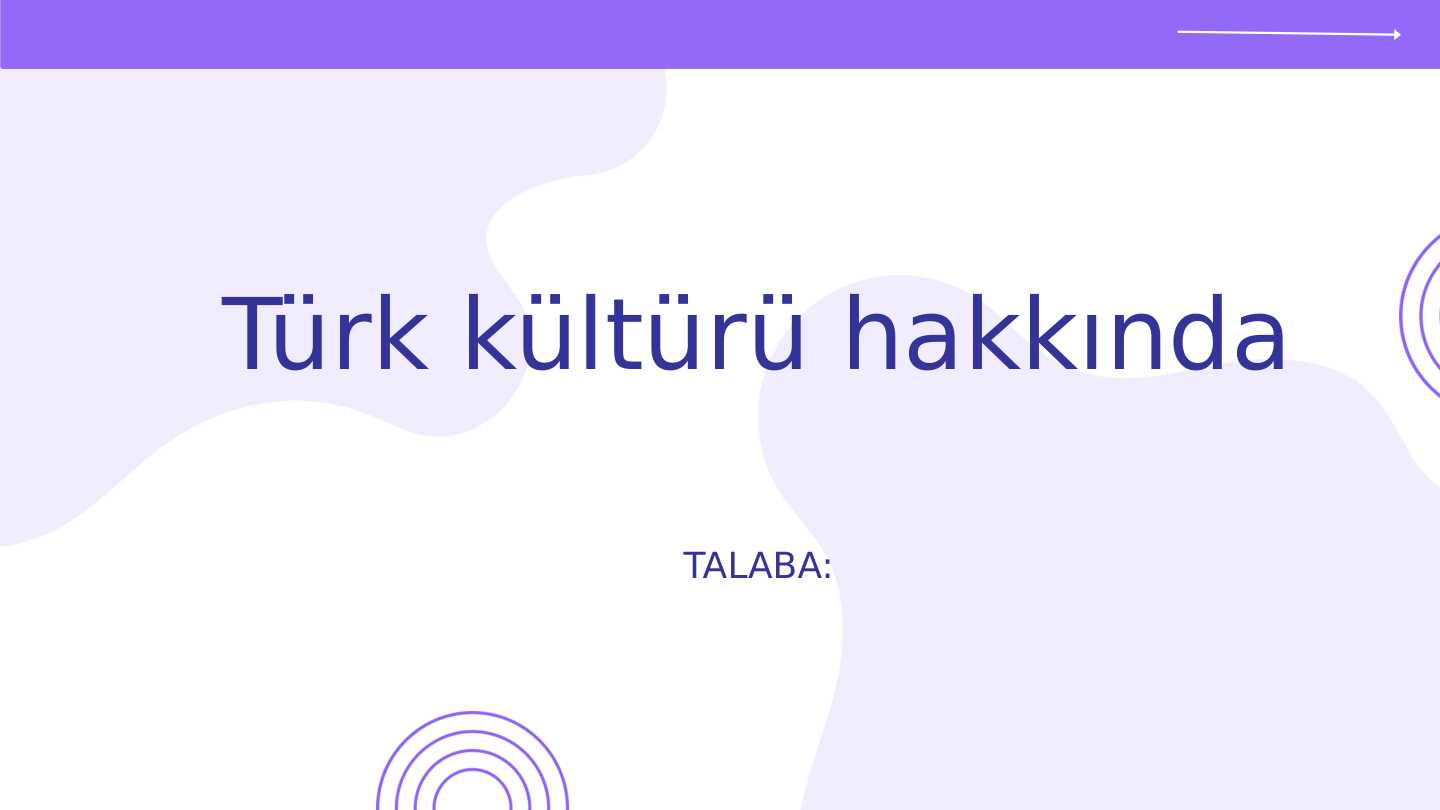 Türk kültürü hakkında