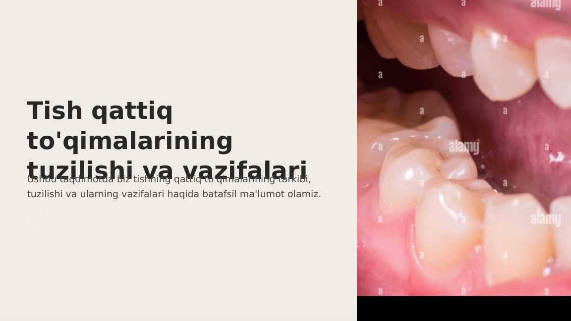 Tish qattiq to'qimalarining tuzilishi va vazifalari.