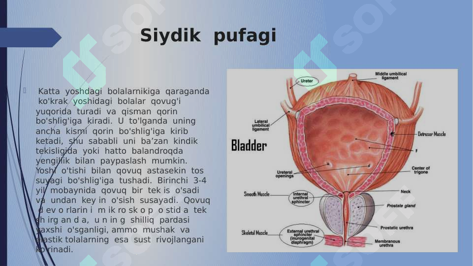 Taqir qiz shahvoniymi?