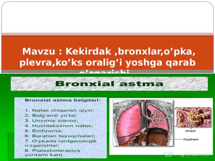 Kekirdak ,bronxlar,o’pka, plevra,ko’ks oralig’i yoshga qarab