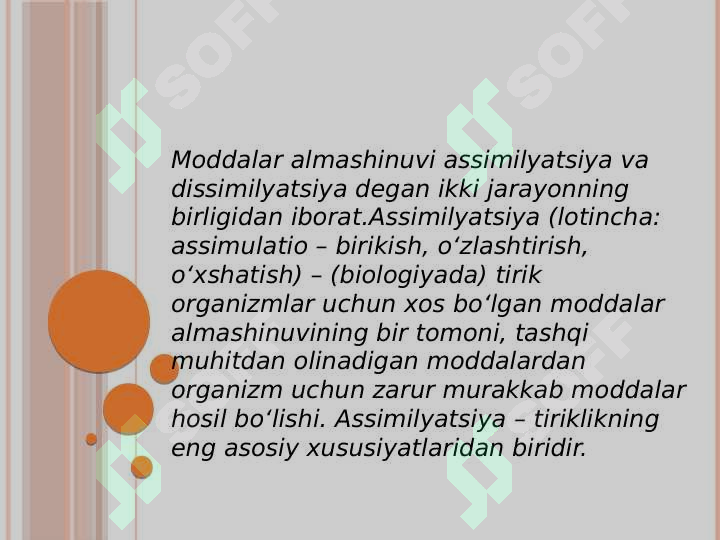 Sexfife video Maks va men Yulkani qanday sikdik (video)