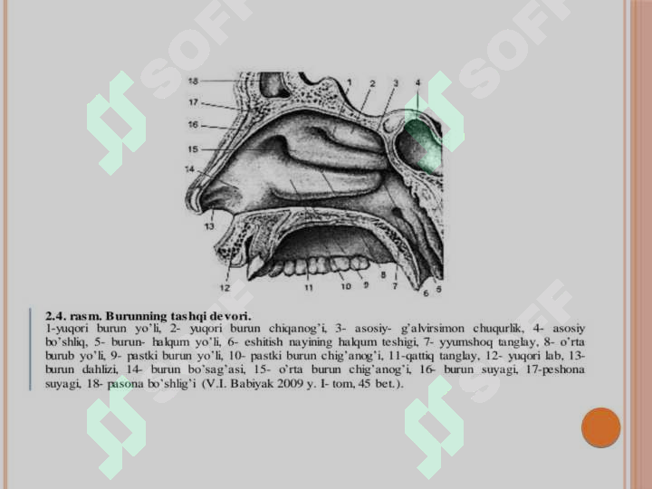 Spermatozoiddagi jinsiy olatni tami Yosh osmirlar porno