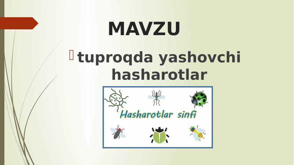 tuproqda yashovchi hasharotlar