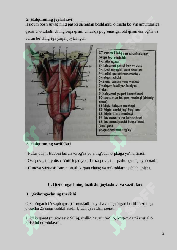 Seks eski kino Turmush qurgan xotinlarning yashirin kamera tasvirlarini korish