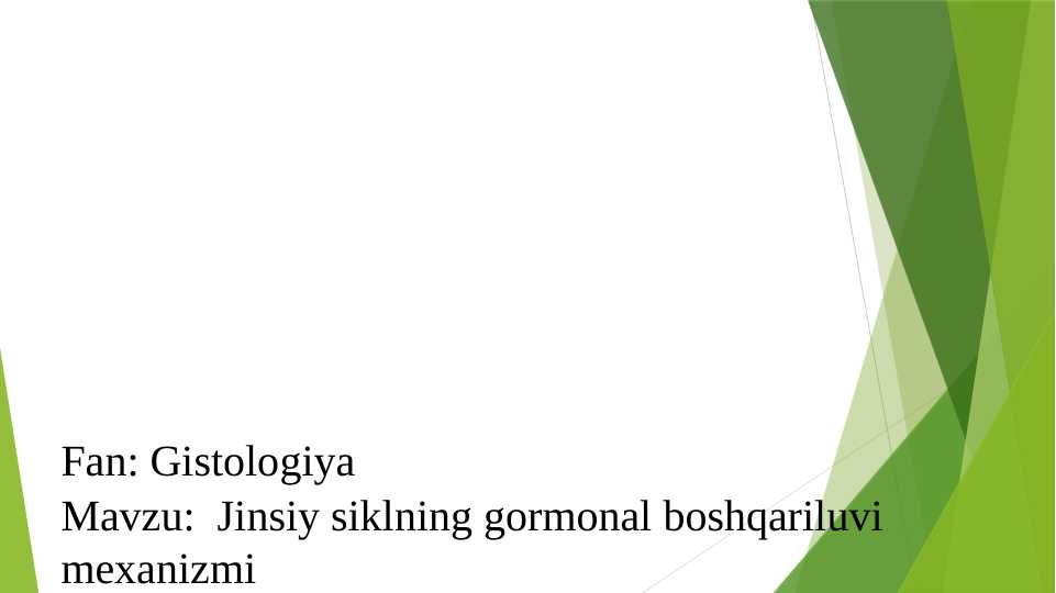 Dunyodagi eng katta guruh