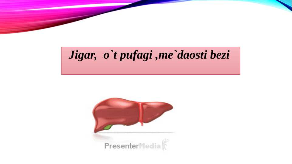 Jigar,  o`t pufagi ,me`daosti bezi