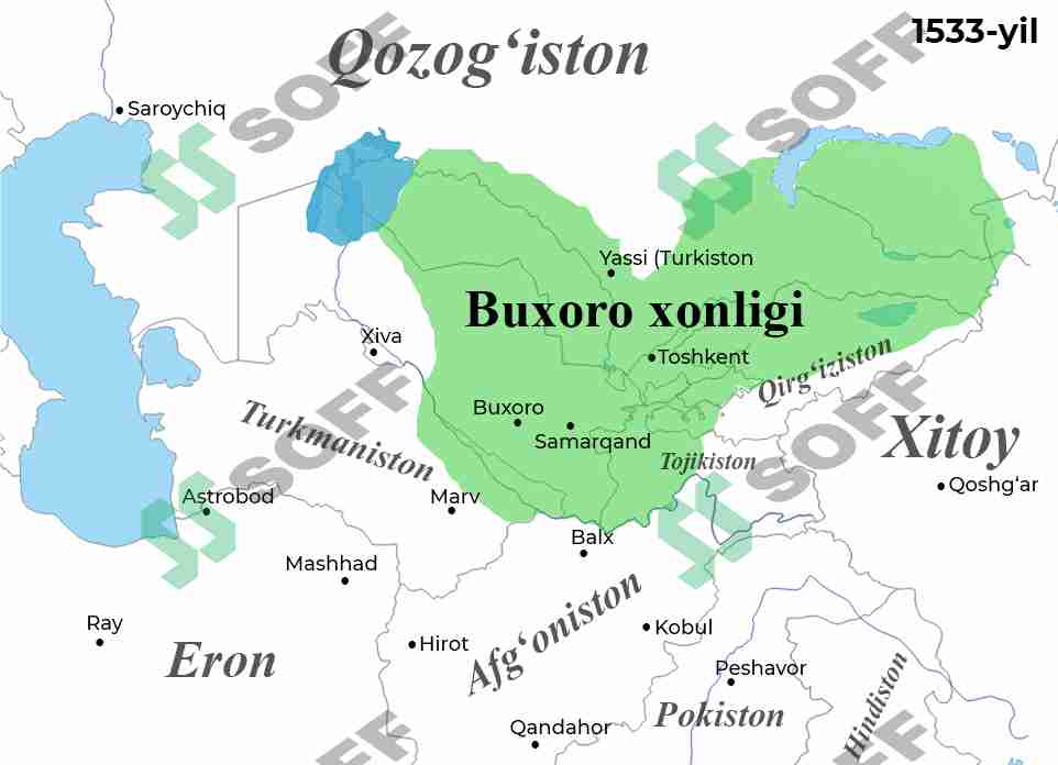Dik asta-sekin mushukning yaqin planiga kiradi