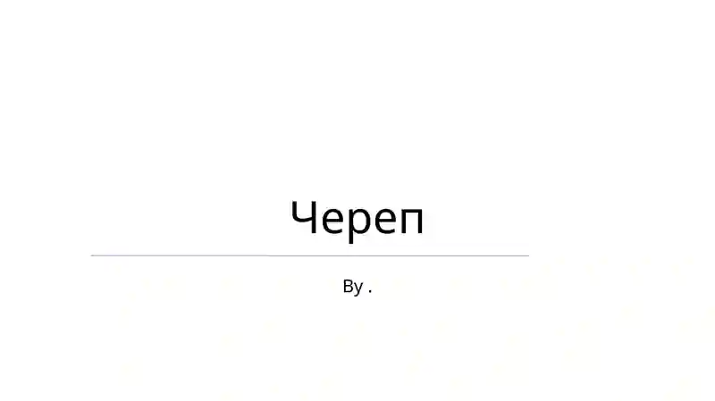 Череп