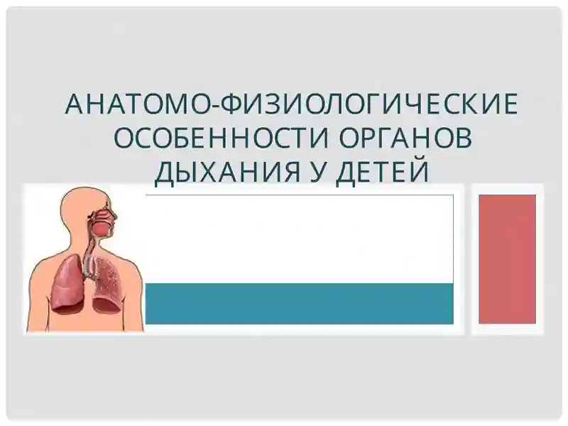 АНАТОМО-ФИЗИОЛОГИЧЕСКИЕ ОСОБЕННОСТИ ОРГАНОВ ДЫХАНИЯ У ДЕТЕЙ