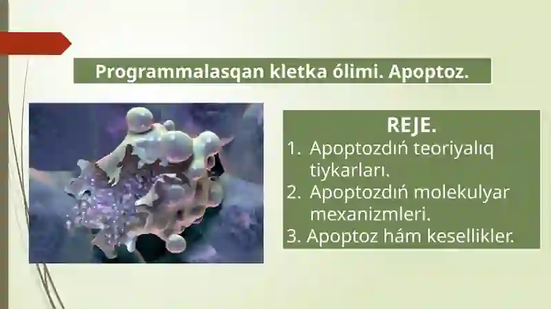 Apoptoz