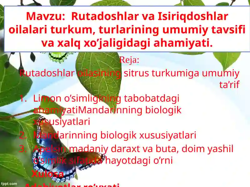 Mandarinning biologik xususiyatlari