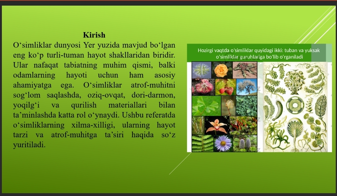 O‘simliklar dunyosi va ularning hayot tarzi haqidagi bilimlarni bilib olish va tahlil qilish