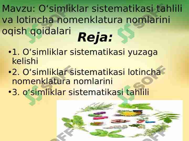 2-Oʻsimliklar sistematikasi tahlili va lotincha nomenklatura nomlarini oqish qoidalari