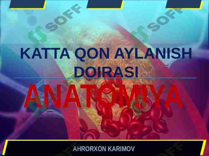 KATTA QON AYLANISH DOIRASI