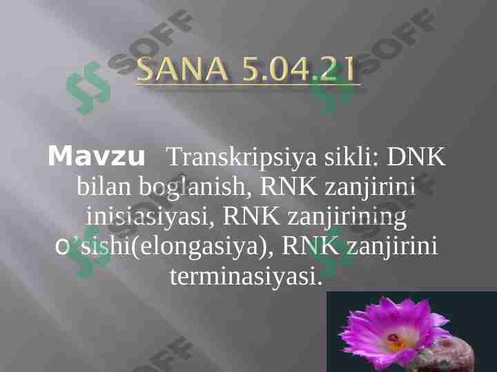 Transkripsiya sikli.DNK RNK BILAN BOGʻLANISHI