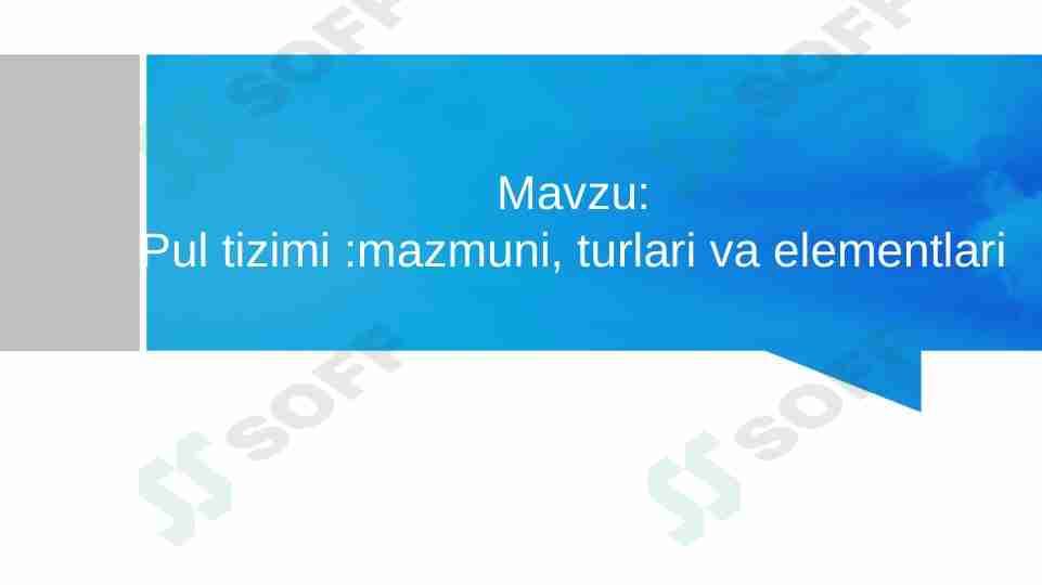 Pul tizimi. Pul tizimi