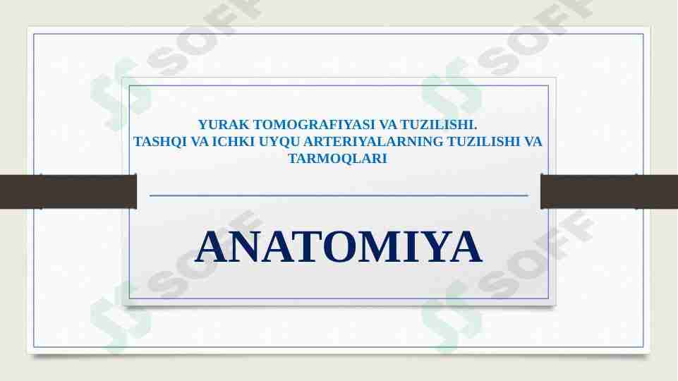 YURAK TOMOGRAFIYASI VA TUZILISHI. TASHQI VA ICHKI UYQU ARTERIYALARNING TUZILISHI VA TARMOQLARI