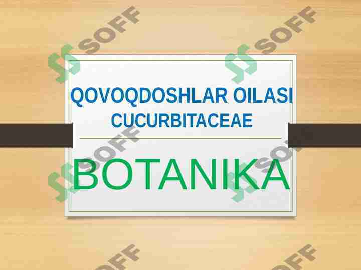 QOVOQDOSHLAR OILASI CUCURBITACEAE