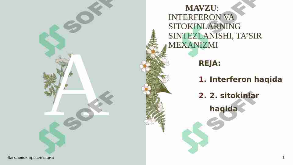 INTERFERON VA SITOKINLARNING SINTEZLANISHI, TA’SIR MEXANIZMI