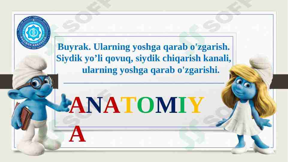 Buyrak. Ularning yoshga qarab o'zgarish. Siydik yo’li qovuq, siydik chiqarish kanali, ularning yoshga qarab o'zgarishi.