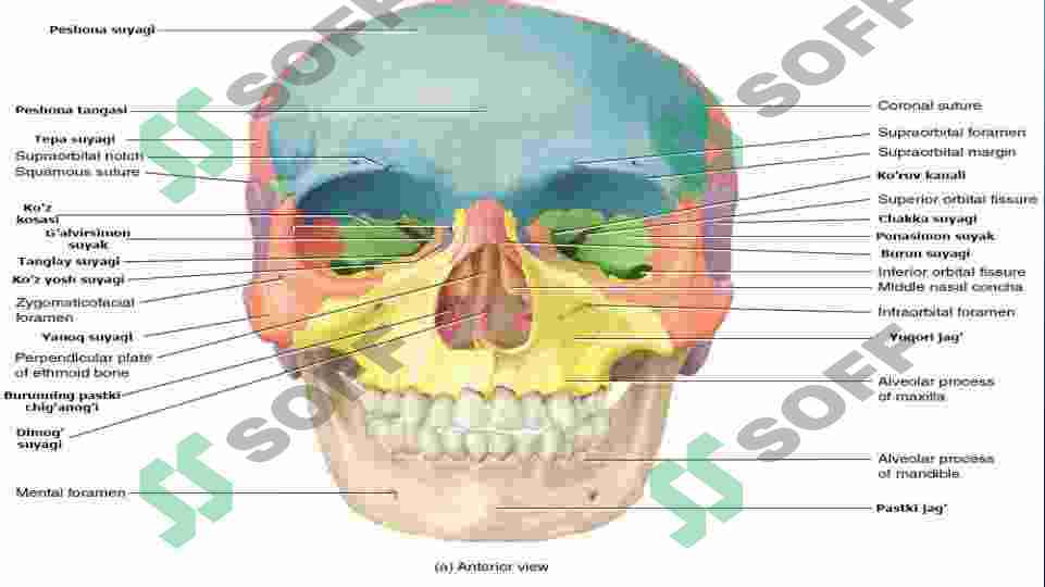 Porno suratlarda tojik ayollari
