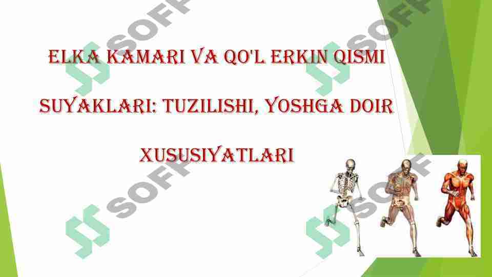 Yigitlar bekasi haqida porno yozish Chuvash va Novocheboksarskdan jinsiy aloqa va sevgi uchun faqat qizlar