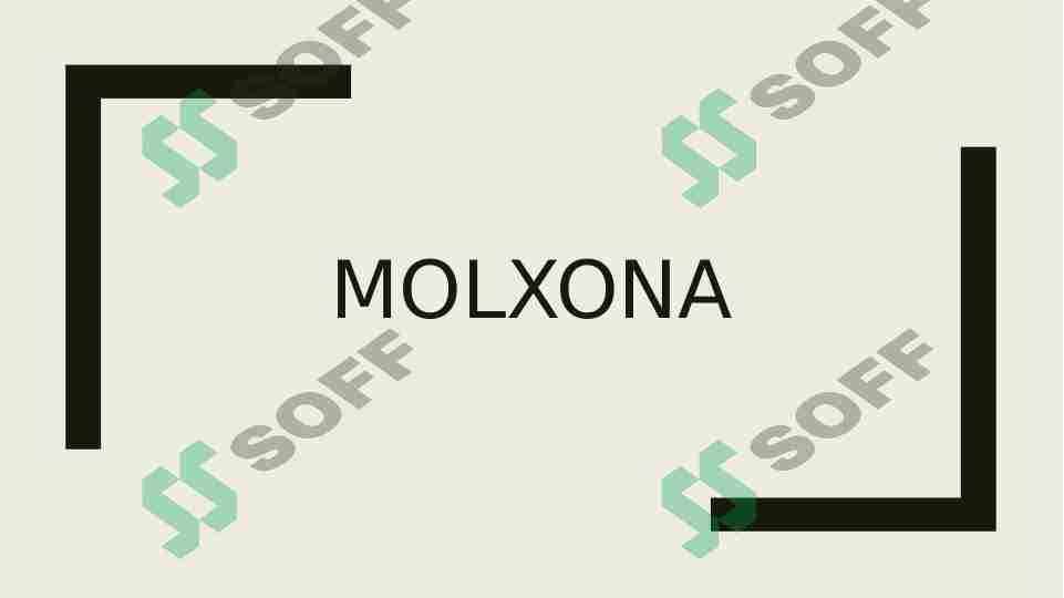 MOLXONA (roman)