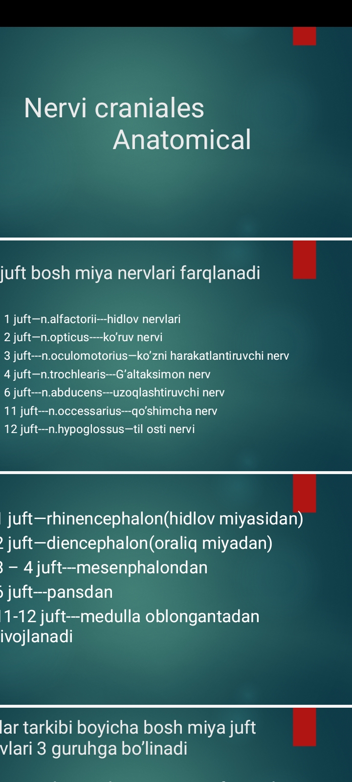 Nervi craniales