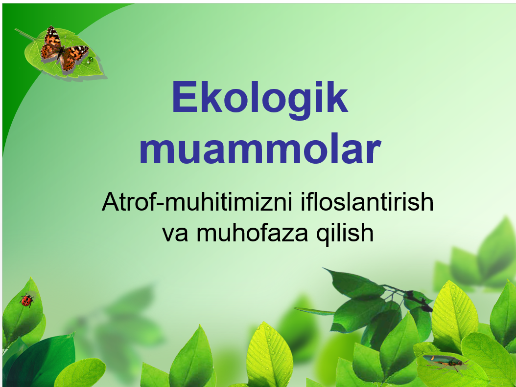 Ekologik muammolar