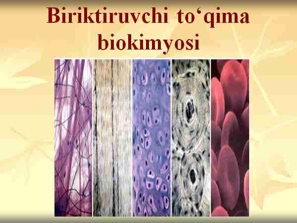 Pionerlar lagerida suratga olingan seks videosi