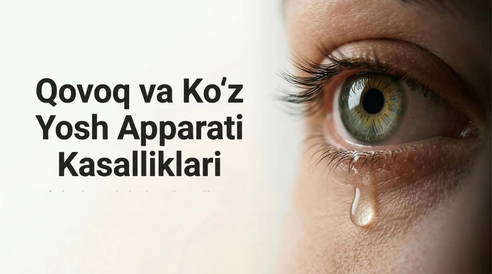 Qovoq va ko‘z yosh apparati kasalliklari