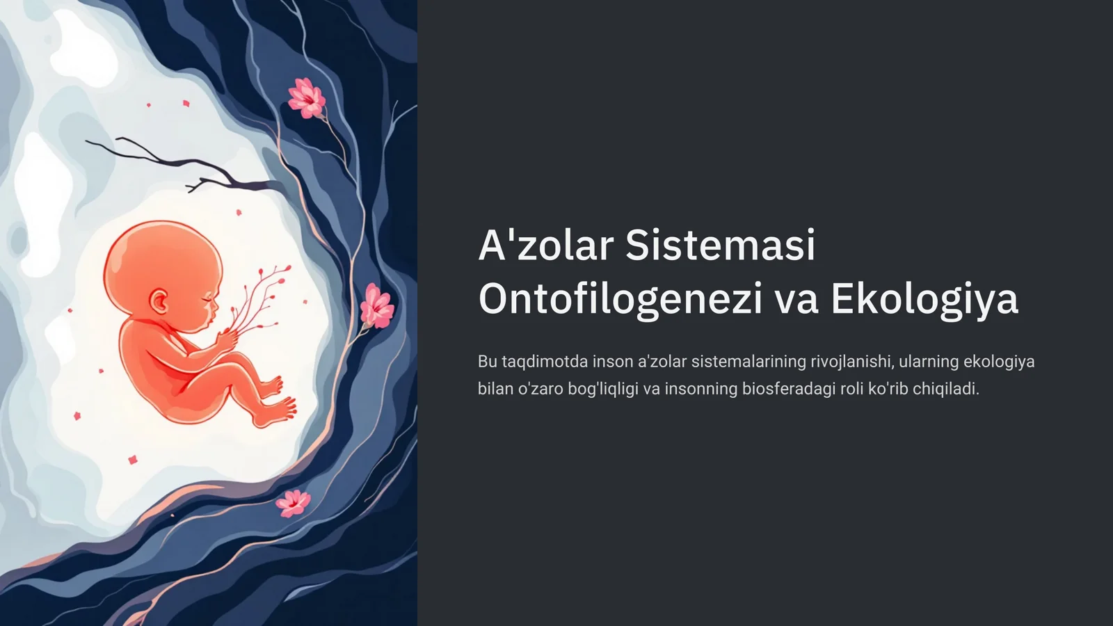 A'zolar Sistemasi