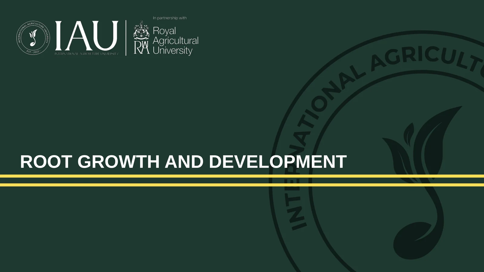 Root Growth and Development