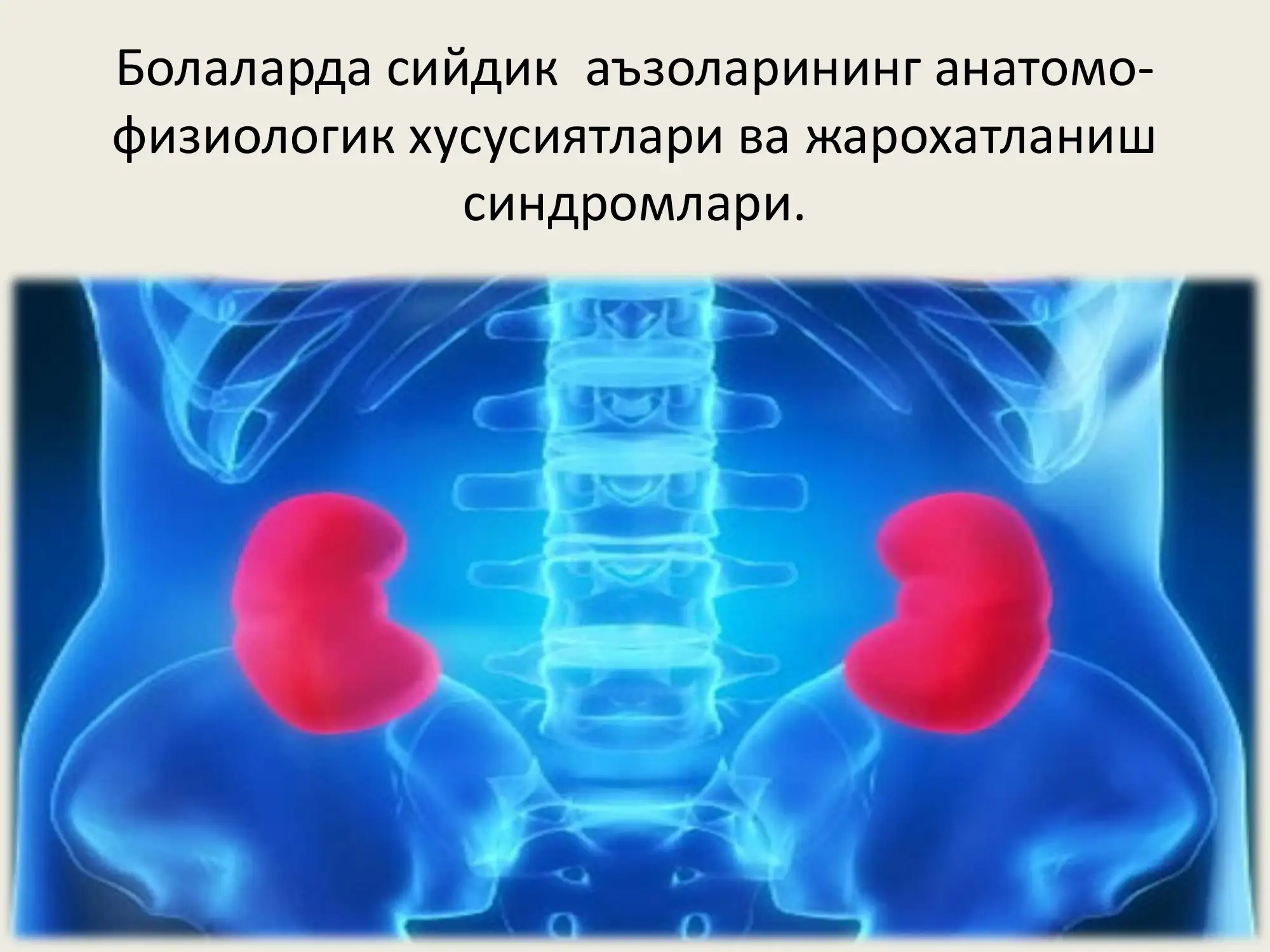 Сийдик аъзоларининг анатомо-физиологик хусусиятлари ва жарохатланиш синдромлари