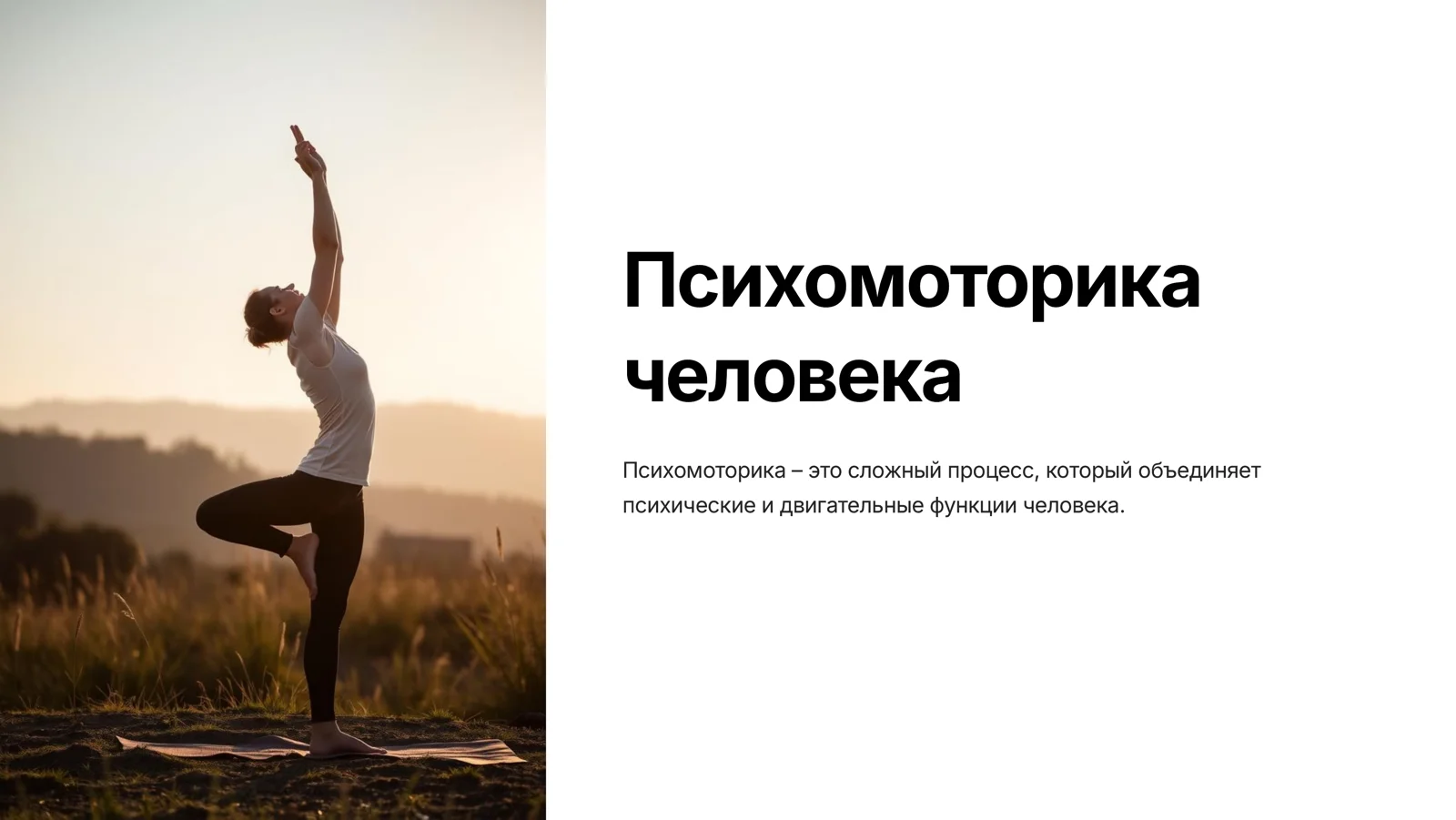 Психомоторика человека