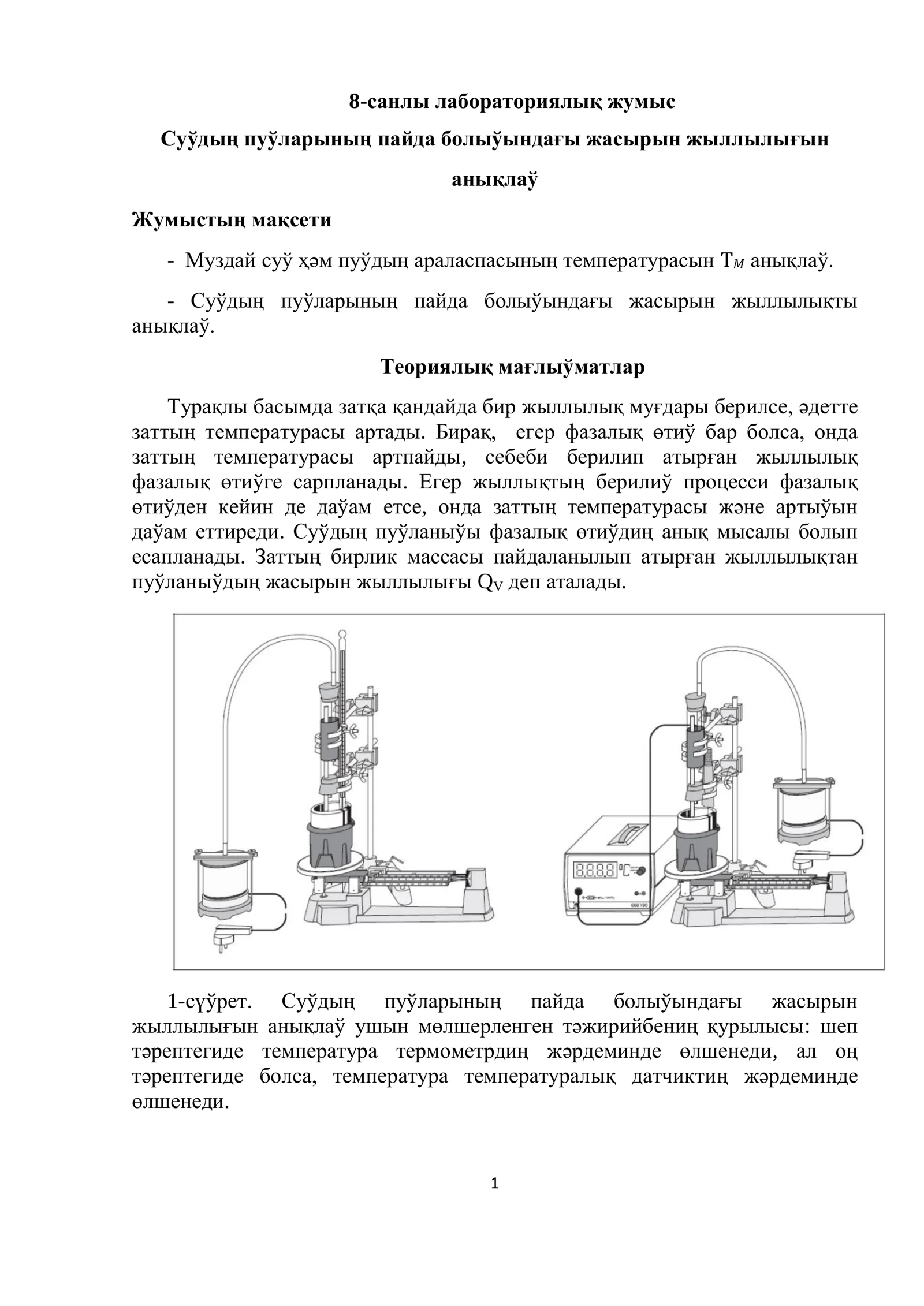 8-санлы лабораториялық жумыс