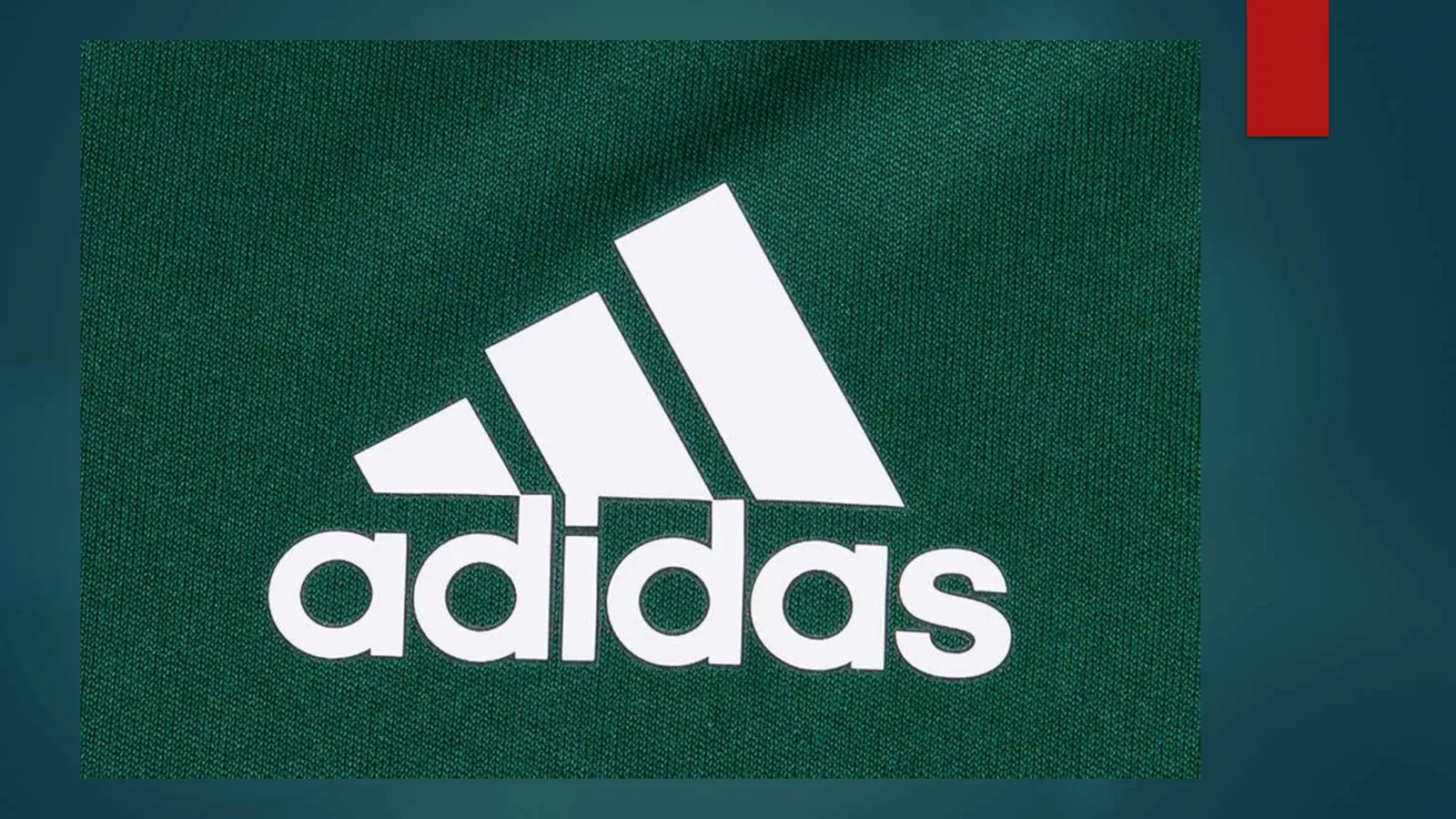 Adidas 1920 yillarda aka uka Dasslerlar egalik qilgan kompaniya