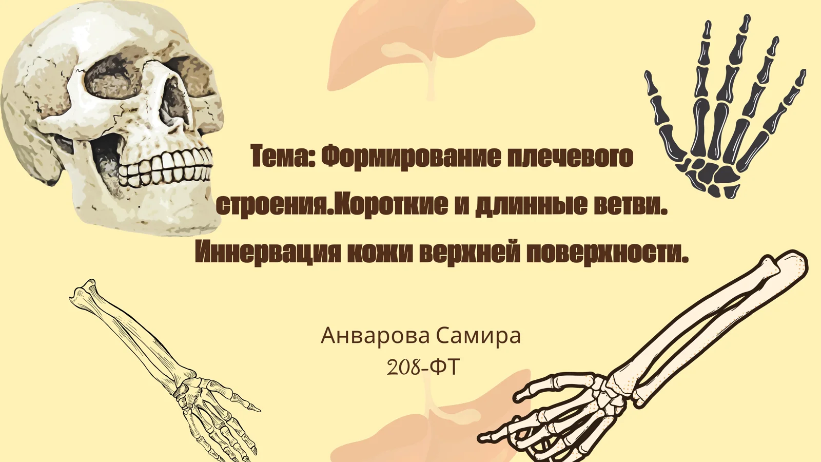 Формирование плечевого строения