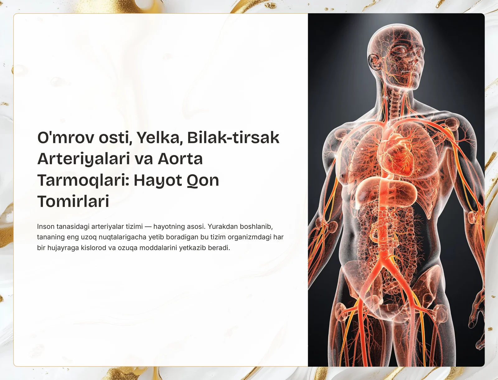 Arteriyalar va Aorta